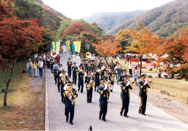 제5회 백양단풍축제