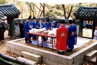 제5회 백양단풍축제