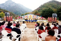 제5회 백양단풍축제