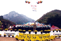 제5회 백양단풍축제