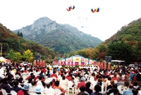 제5회 백양단풍축제
