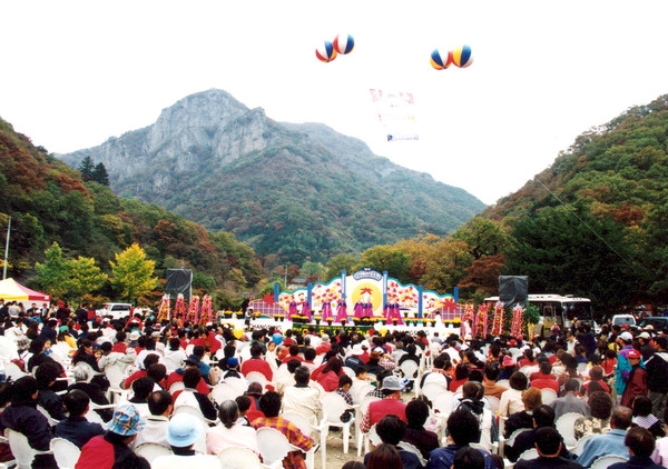 제5회 백양단풍축제