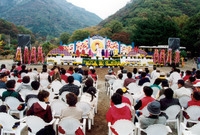 제5회 백양단풍축제