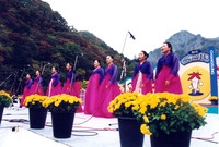 제5회 백양단풍축제