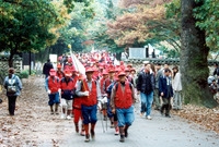 제5회 백양단풍축제