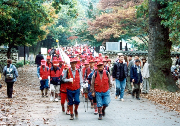 제5회 백양단풍축제