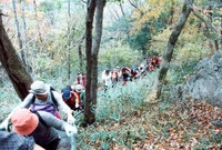 제5회 백양단풍축제