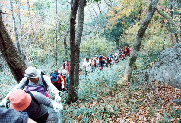 제5회 백양단풍축제
