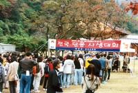 제5회 백양단풍축제