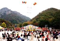제5회 백양단풍축제