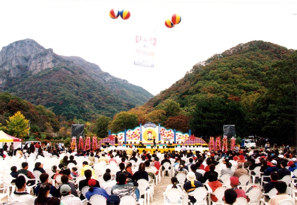 제5회 백양단풍축제