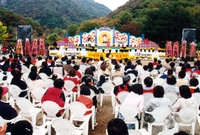 제5회 백양단풍축제