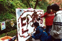 제5회 백양단풍축제