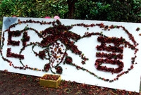 제5회 백양단풍축제