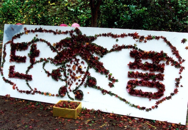 제5회 백양단풍축제