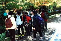 제5회 백양단풍축제