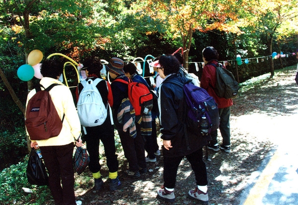 제5회 백양단풍축제