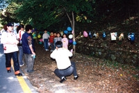 제5회 백양단풍축제