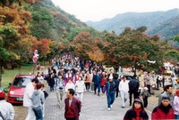 제5회 백양단풍축제