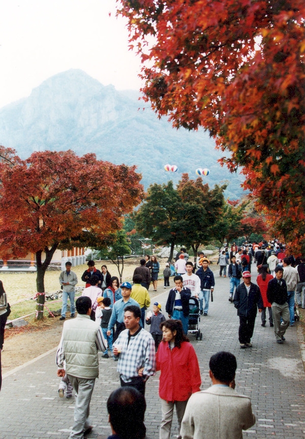 제5회 백양단풍축제