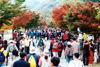 제5회 백양단풍축제