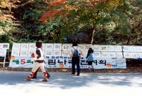 제5회 백양단풍축제