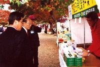 제5회 백양단풍축제