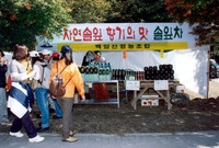 제5회 백양단풍축제