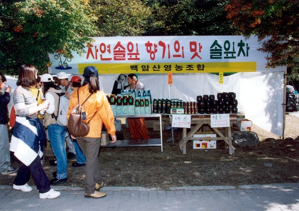 제5회 백양단풍축제