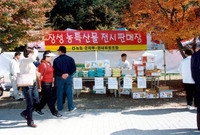 제5회 백양단풍축제