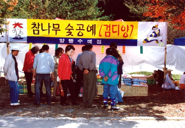 제5회 백양단풍축제