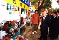제5회 백양단풍축제