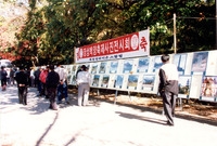 제5회 백양단풍축제