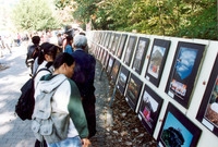 제5회 백양단풍축제