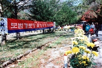 제5회 백양단풍축제