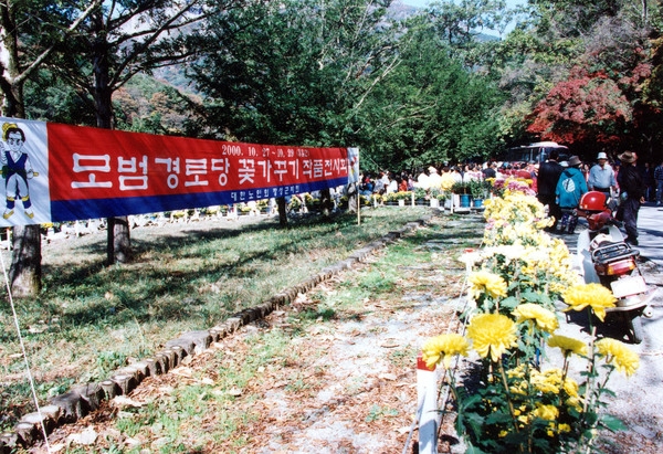 제5회 백양단풍축제