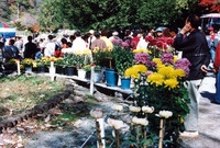 제5회 백양단풍축제