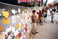 제5회 백양단풍축제