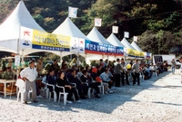 제5회 백양단풍축제