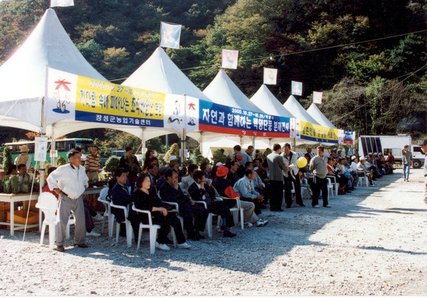 제5회 백양단풍축제