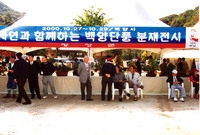 제5회 백양단풍축제