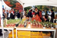 제5회 백양단풍축제