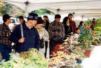 제5회 백양단풍축제