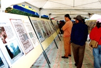 제5회 백양단풍축제