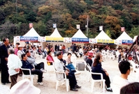 제5회 백양단풍축제