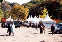 제5회 백양단풍축제