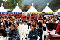 제5회 백양단풍축제