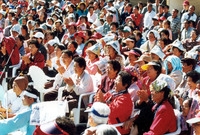 제5회 백양단풍축제