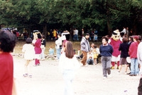 제5회 백양단풍축제