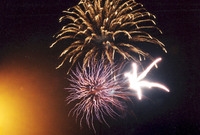 제5회 백양단풍축제